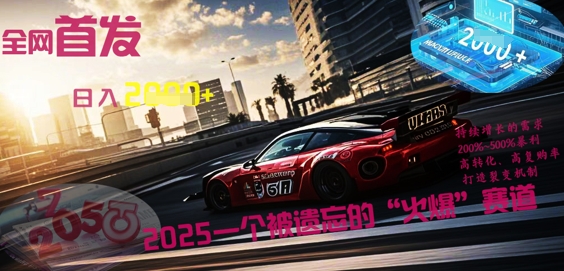 全网首发：2025一个被遗忘的“火爆”赛道轻松日入多张-云网创