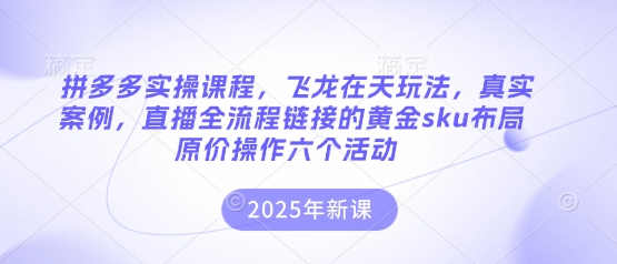 拼多多实操课程，飞龙在天玩法，真实案例，直播全流程链接的黄金sku布局原价操作六个活动-云网创