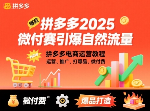 拼多多2025微付费引爆自然流量，拼多多电商运营教程，运营、推广、打爆品、微付费(更新)-云网创
