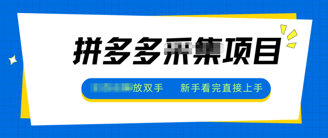 拼多多电商采集，一小时50+，操作简单，零投资-云网创
