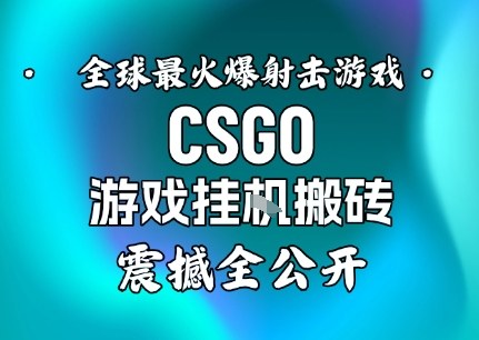 【年底大揭秘】基于全球最火爆的射击CSGO游戏挂G搬砖,日入5张+,震撼公开-云网创