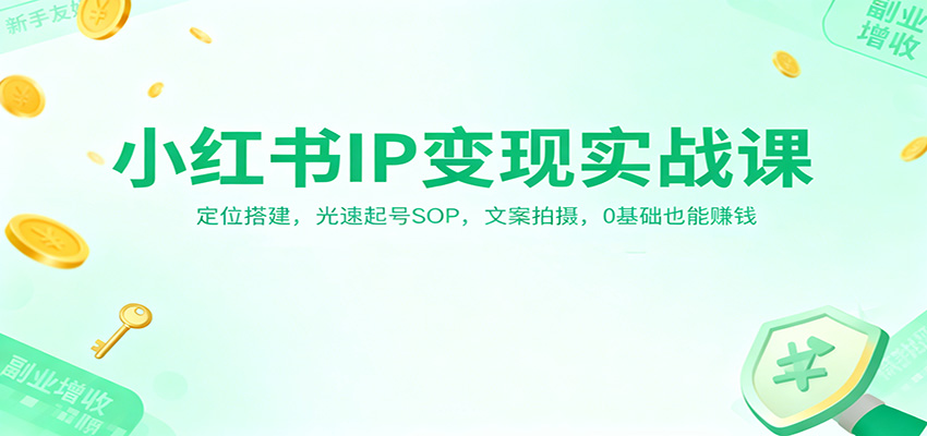 小红书IP变现实战课：定位搭建，光速起号SOP，文案拍摄，0基础也能赚钱-云网创