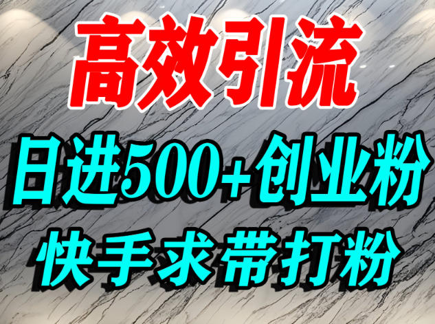 怎么打创业粉？快手求带视角精准引流创业粉，宝妈、学生群体日进500+精准流量-云网创
