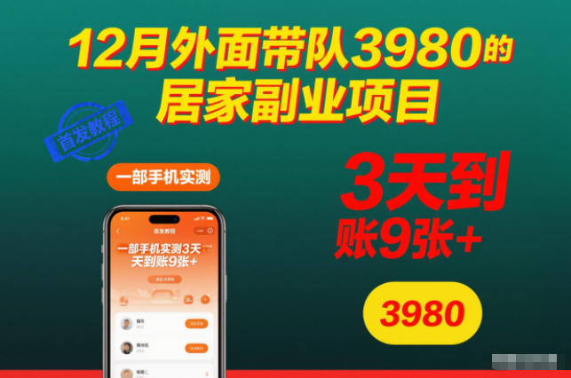 12月外面带队3980的居家副业项目,一部手机实测3天到账9张+,首发教程【揭秘】-云网创