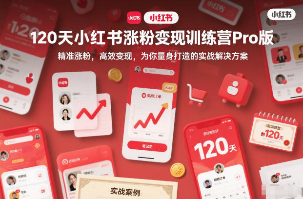 120天小红书涨粉变现训练营Pro版,精准涨粉,高效变现,为你量身打造的实战解决方案-云网创