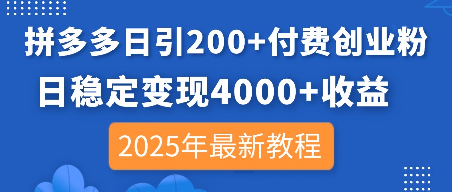 (14217期)拼多多日引200+付费创业粉,日稳定变现4000+收益,2025年最新教程-云网创