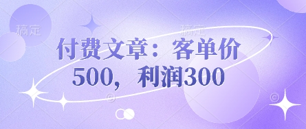 付费文章:客单价500,利润300-云网创