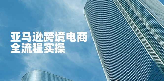 (14252期)亚马逊跨境电商全流程实操,教你从零开始,掌握店铺运营与广告技巧-云网创
