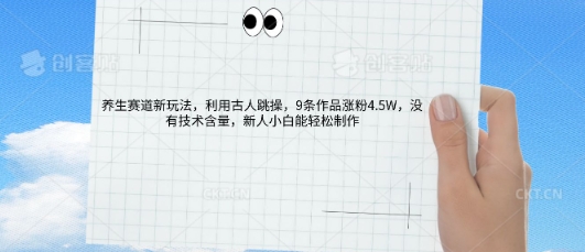 AI养生赛道新玩法，10条作品涨粉5.2W，操作简单，新人小白能轻松制作-云网创