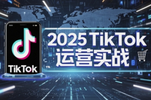 2025TikTok电商运营，掌握TikTok店铺运营核心技巧，实现低成本高转化-云网创