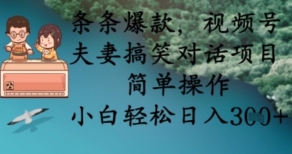 条条爆款,视频号夫妻搞笑对话项目,简单操作,小白轻松日入3张+-云网创