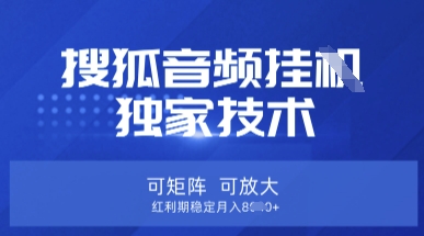 【搜狐音频挂G】独家技术，可矩阵可放大，红利期稳定月入8k【揭秘】-云网创