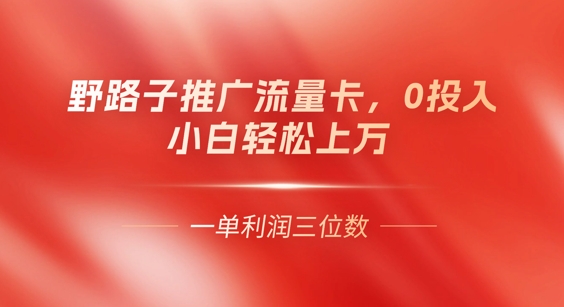 0门槛推广流量卡,一单收益上百,0投入,小白月入过W-云网创