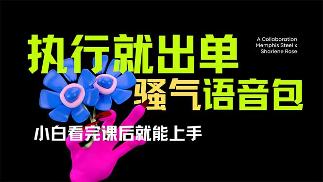 (14170期)爆火全网的开车导航骚气语音包,只要执行就出单,小白看完课程就能实操...-云网创