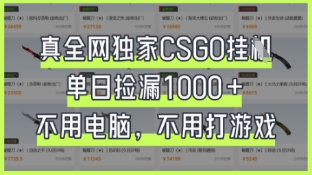 真全网独家CSGO挂G，单日捡漏1k+【揭秘】-云网创