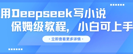 用Deepseek写小说，保姆级教程，小白可实操-云网创