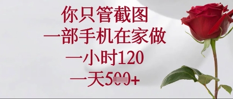 你只管截图,一部手机在家操作,一小时120.一天5张【揭秘】-云网创
